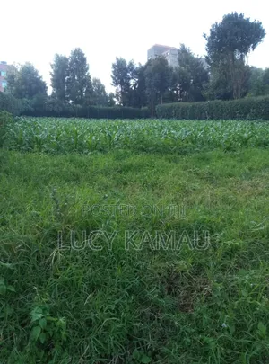 100*100 Plot for Sale