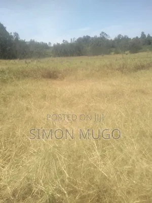 Muranga Maragua Prime 15 Acre Quick Sale 5.5 Millions Per Acre