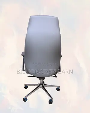 Grey Executive Office Chair | Build for Daily Productivity | Smooth