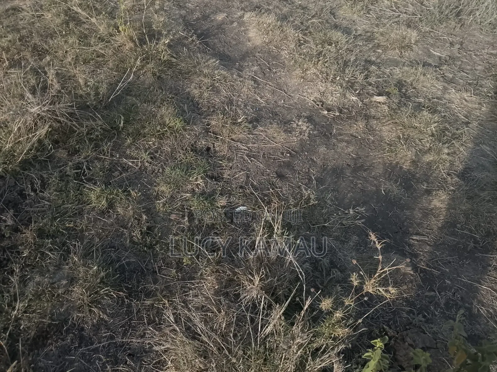 50*100 Plot for Sale in Katani
