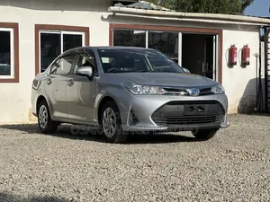 Toyota Axio 1.5 Hybrid 2WD 2019 Gray