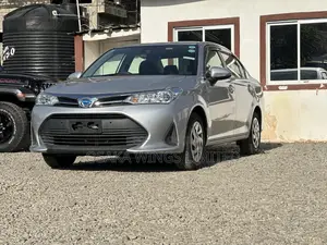 Toyota Axio 1.5 Hybrid 2WD 2019 Gray