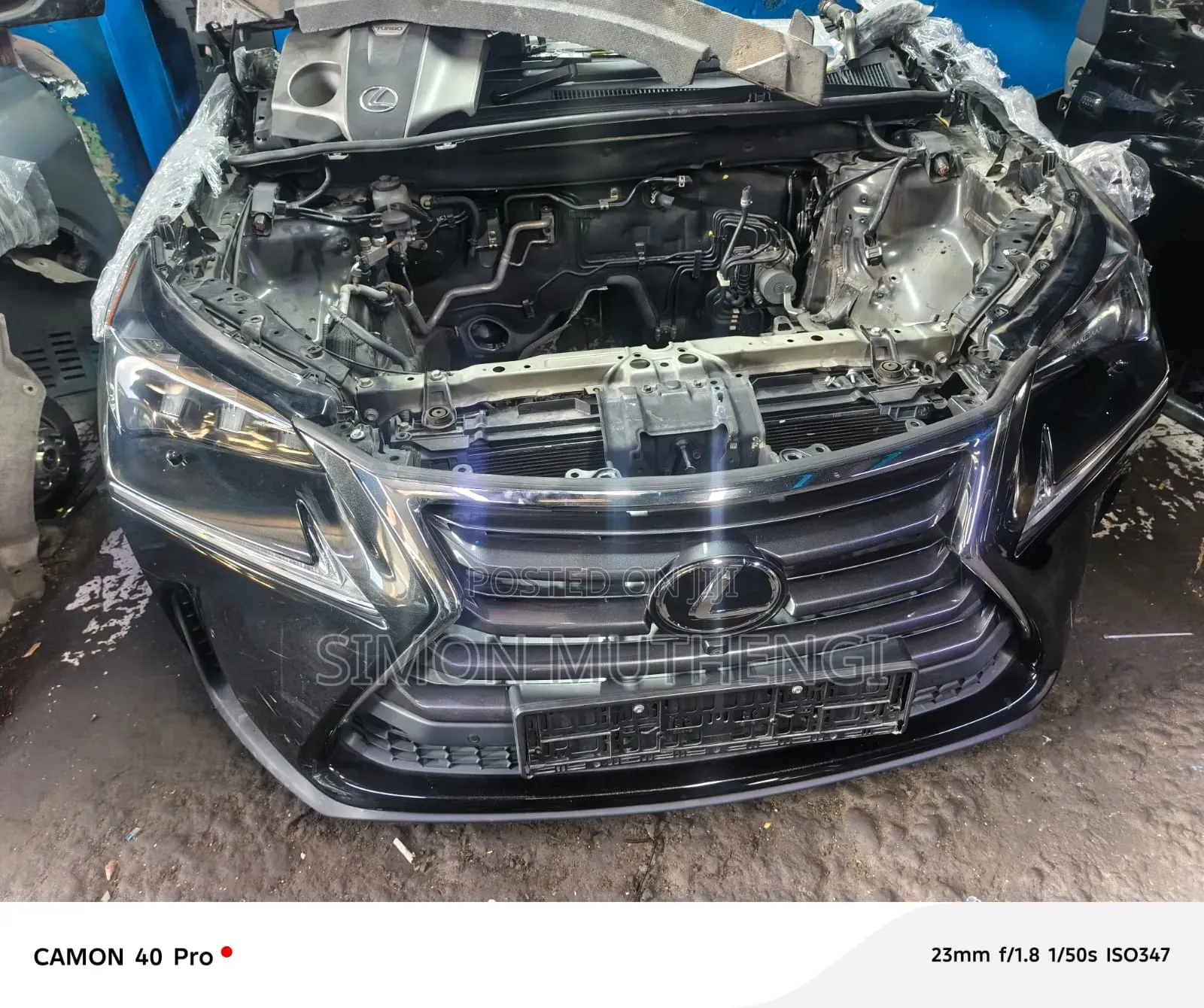 Lexus Rx450h Nosecuts