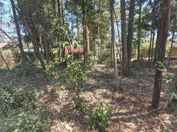 Plot for Sale Ruaka Karura - thumbnail 9