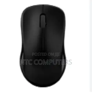Rapoo Wireless Optical Mouse 1620, Black