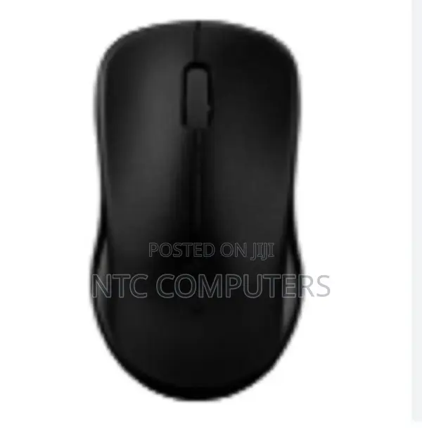 Rapoo Wireless Optical Mouse 1620, Black
