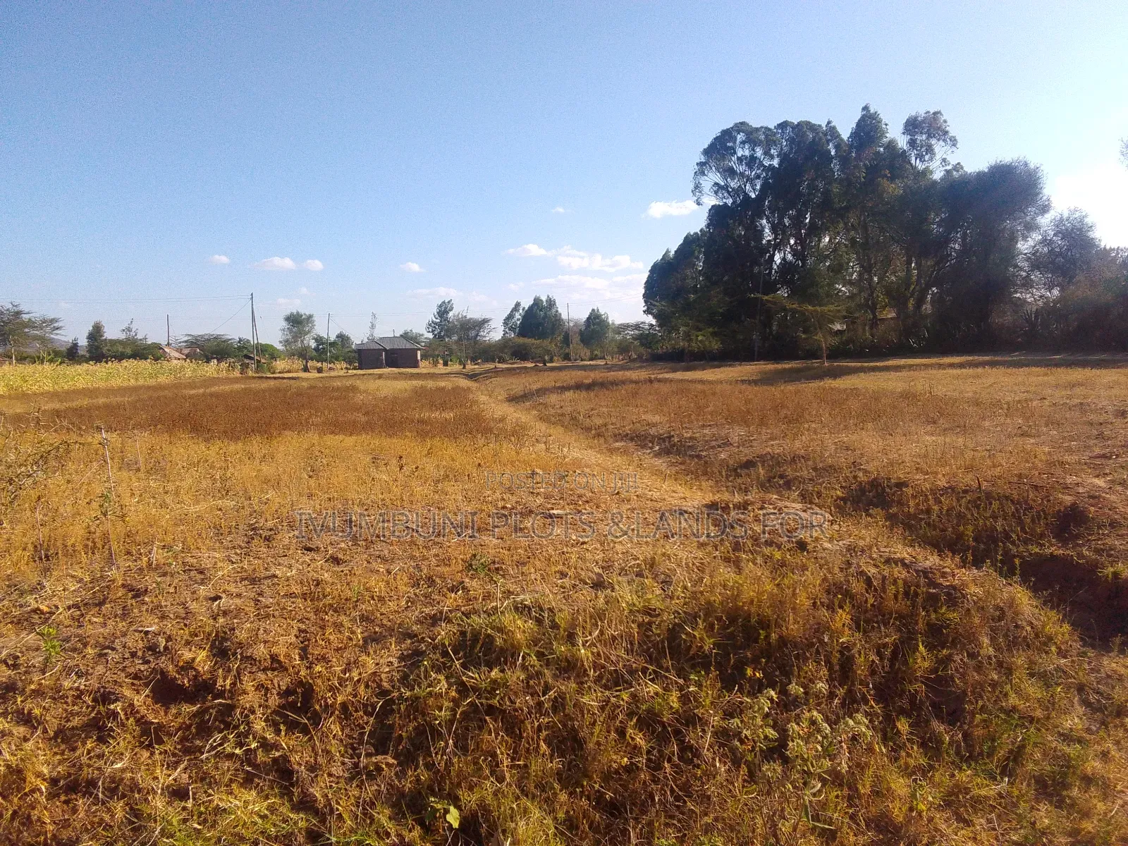 1.5 Acres for Sale With Ready Title Deed.