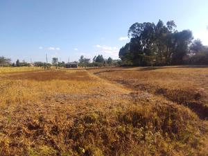 2.0 Acres for Sale With Ready Title Deed. - thumbnail 2