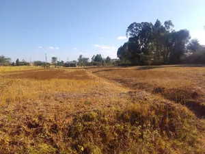 1.5 Acres for Sale With Ready Title Deed.