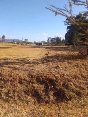 1.5 Acres for Sale With Ready Title Deed.