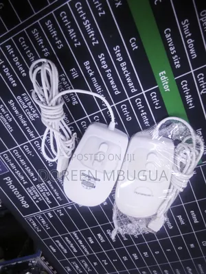 Ex Uk Usb Wired White Mouse