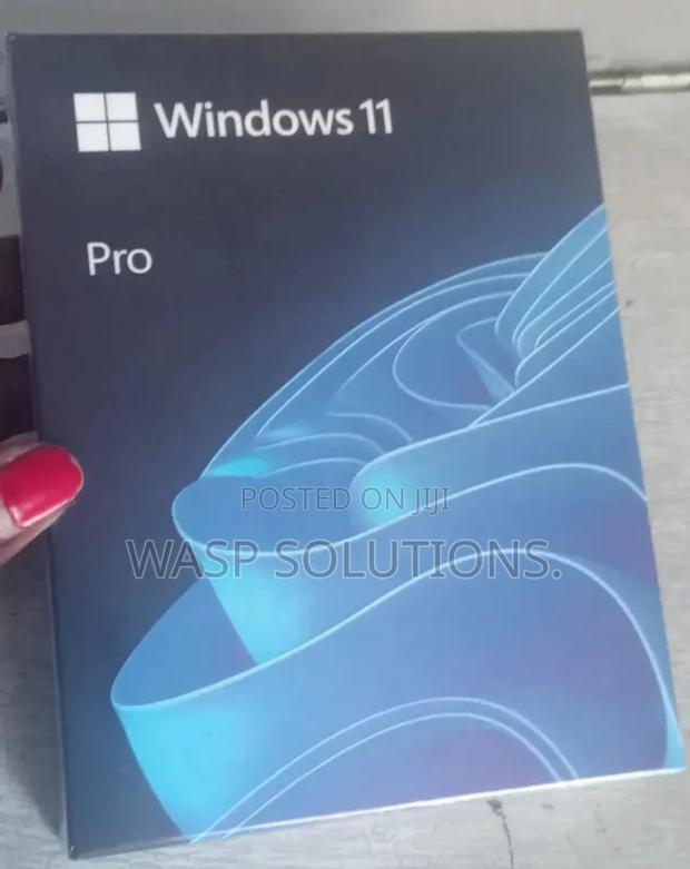 Windows 11 Pro - main view