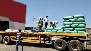 Well Dried Maize in Thika - main view