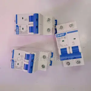 63a Double Pole Breaker Chint