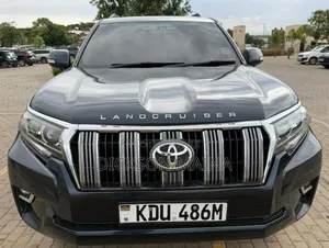 Toyota Land Cruiser Prado 2010 Gray