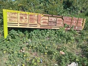 Body Canter - thumbnail 2