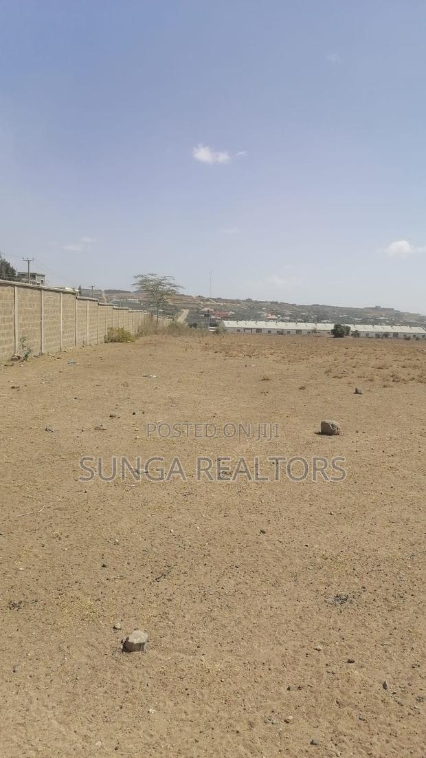 Yard for Lease - thumbnail 4