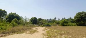 1 Acres in Tiwi for Sale