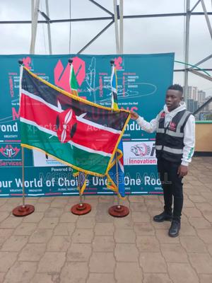 Ms013,Executive Flag,Flags, Flag - thumbnail 2