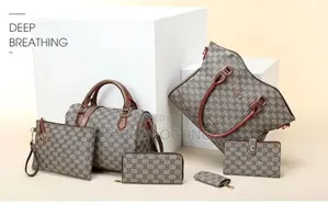 5 In1 Lv Design Ladies Handbags