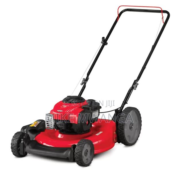 Windsor Gasoline Lawnmower - main view