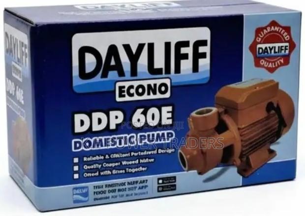 Dayliff 0.5hp Booster Pump - main view