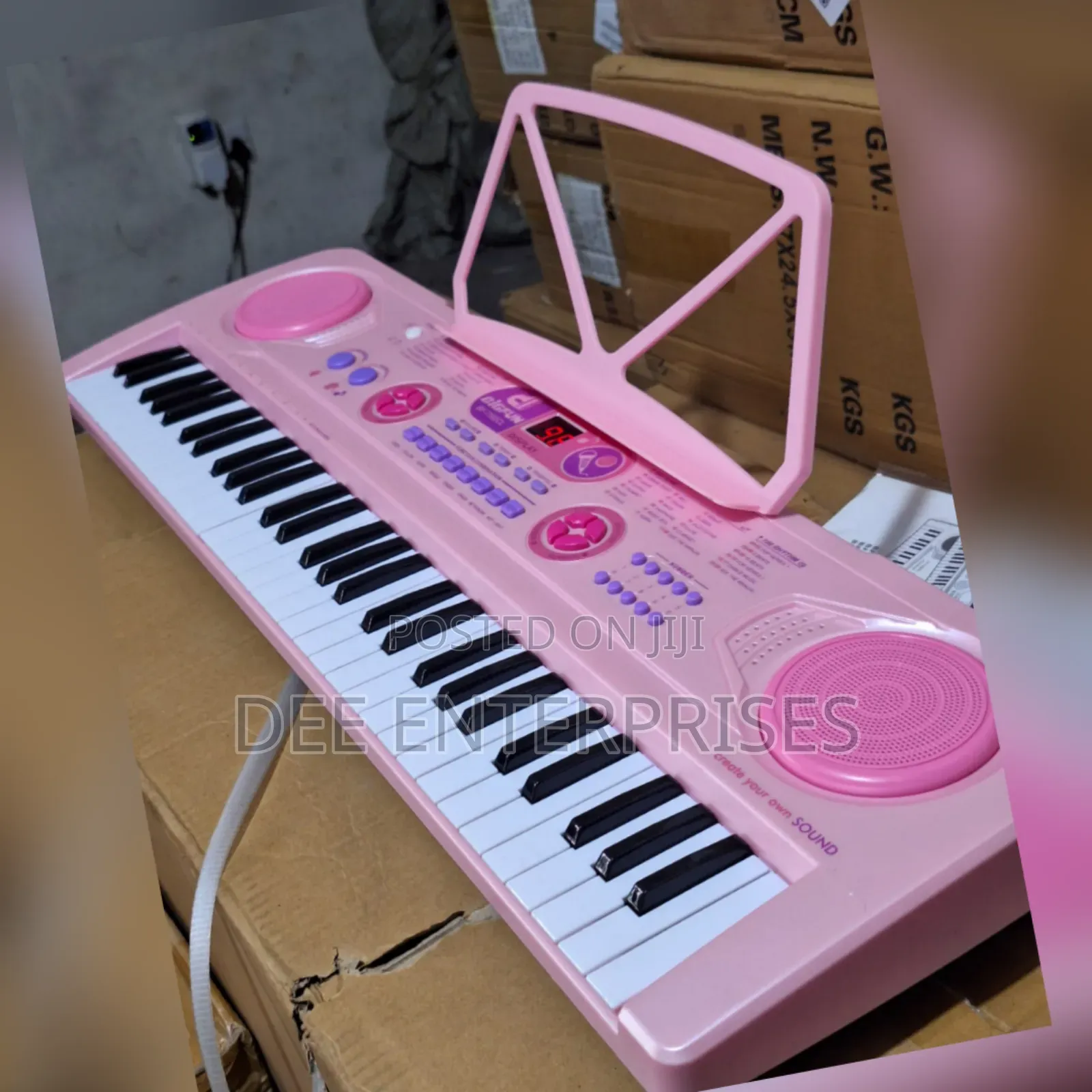 Professional Piano With in Built Battery