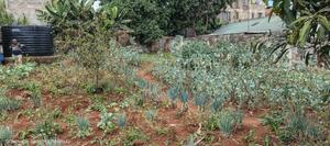 Land for Sale in Kangemi - thumbnail 2