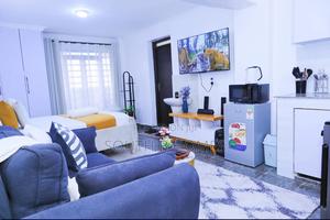 Mordern Spacious Studio Air BNB in South B - main view