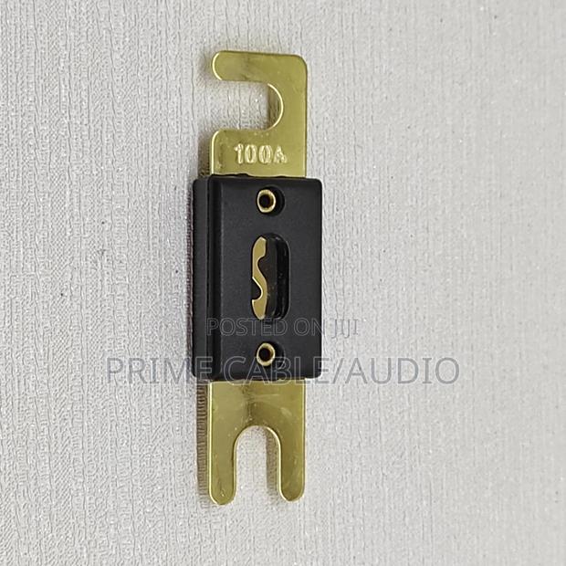 100a Automotive Anl Fuse Witout Holder