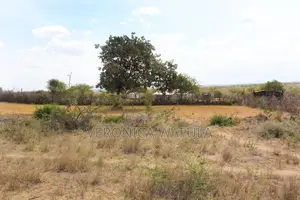 Property ,Land for Sale