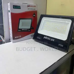 Neelux 100w High Lumen Ac Floodlight