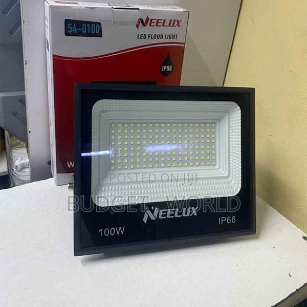 Neelux 100w Ac Powered Outdoor Floodlight - main view