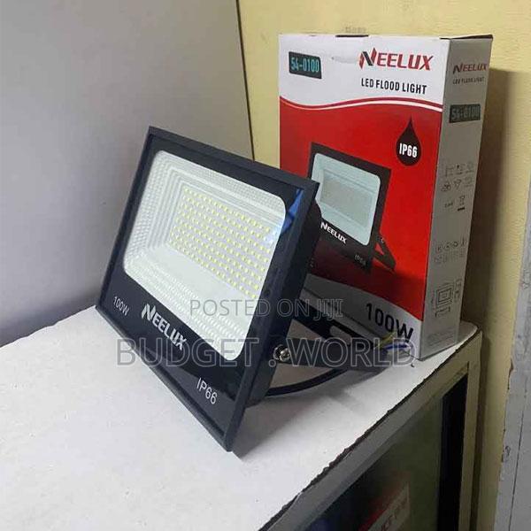 Neelux 100w Led Floodlight for Perimeter Lighting
