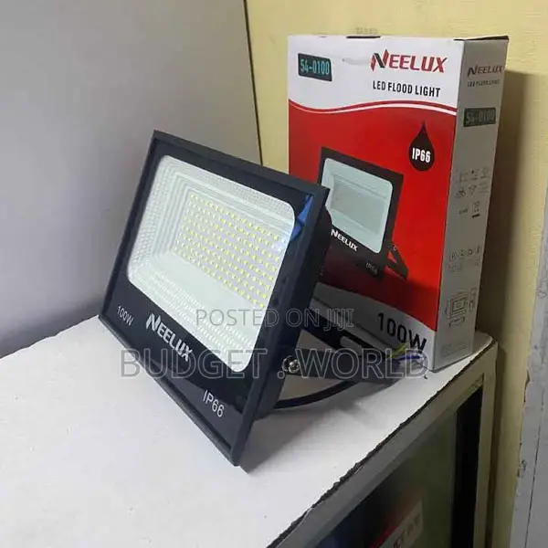 Neelux 100w Led Floodlight for Perimeter Lighting