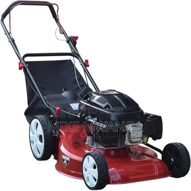 Windsor Gasoline Lawnmower - main view