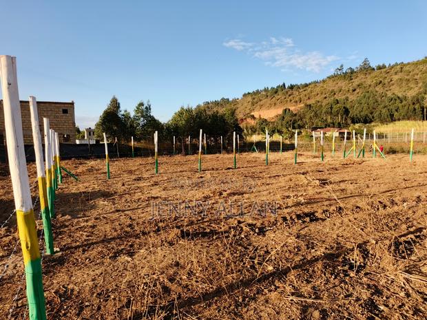 Plot for Sale in Ndacha Kikuyu - thumbnail 2
