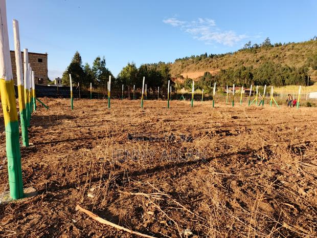 Plot for Sale in Ndacha Kikuyu - thumbnail 3