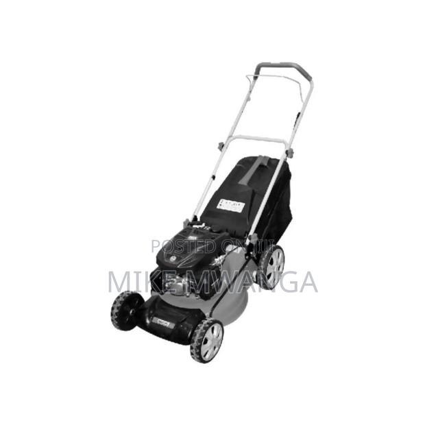 Windsor Gasoline Lawnmower - main view