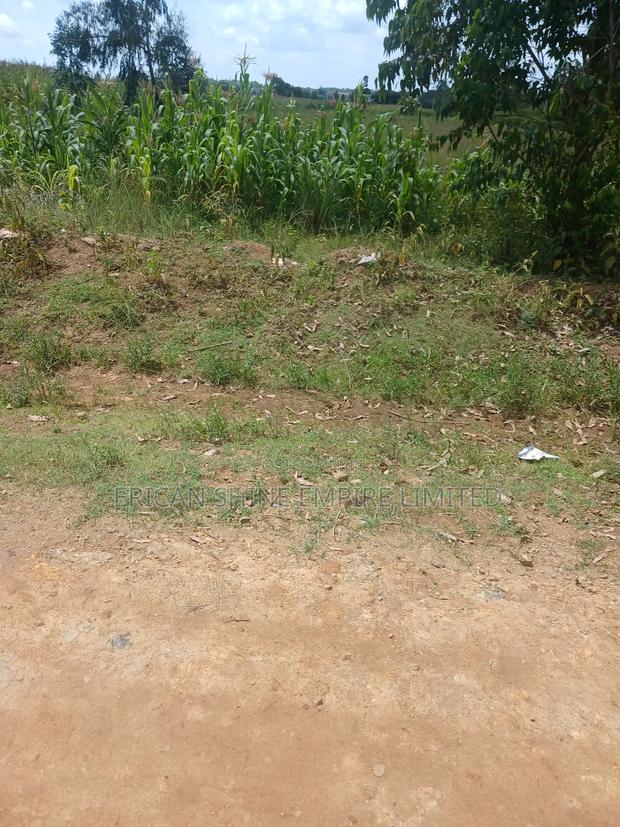 2 Acreland for Sale - main view