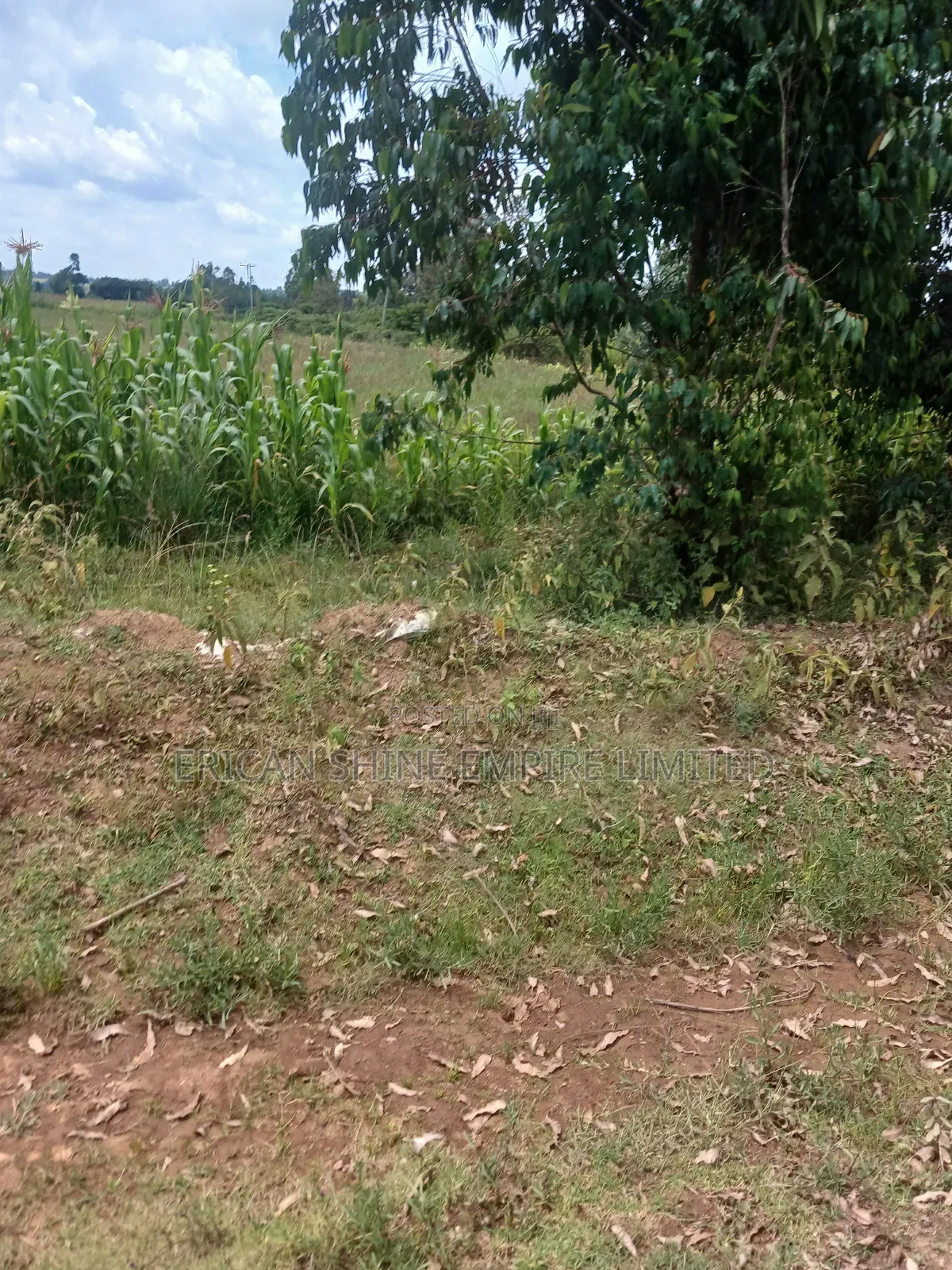 2 Acres Prime Land for Sale in Nyahururu / Nyeri Highway