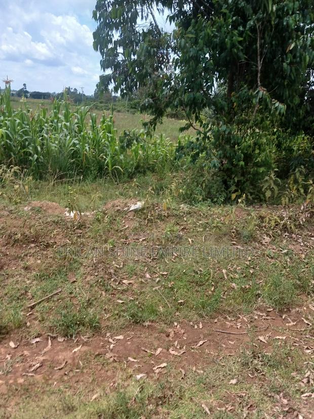 2 Acreland for Sale - thumbnail 3