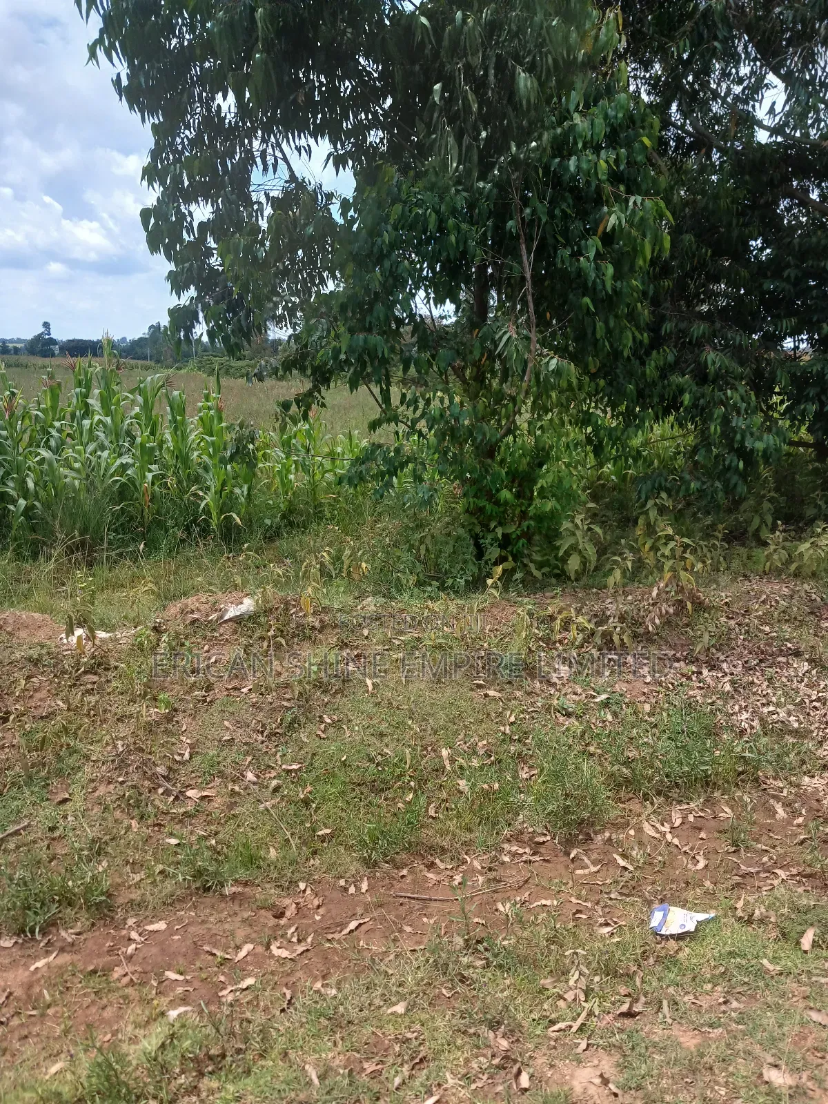 2 Acres Prime Land for Sale in Nyahururu / Nyeri Highway