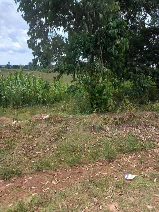 2 Acreland for Sale - thumbnail 4