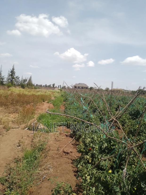 Jujafarm Plots for Sale - thumbnail 3