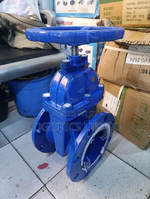 6 Inch Cast Iron Gate Valve W/Rubber Wedge