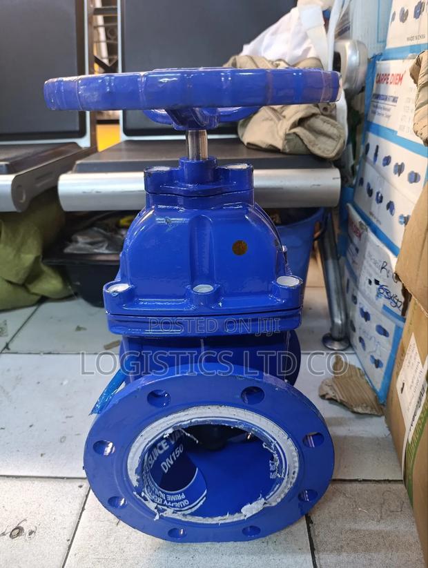 6 Inch Cast Iron Gate Valve W/Rubber Wedge - thumbnail 3