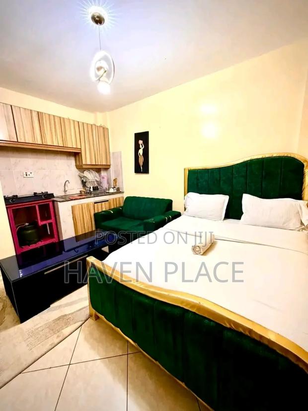 Airbnb Studio Available at Ruiru Oj Kamiti Road for 2500