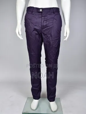 Men Official/Casual Pants