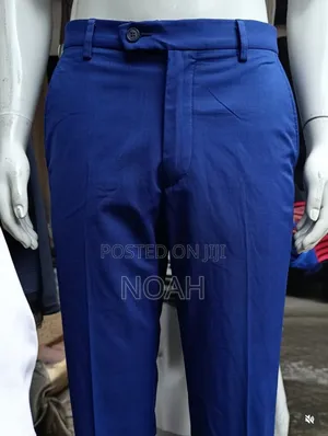 Men Official/Casual Pants